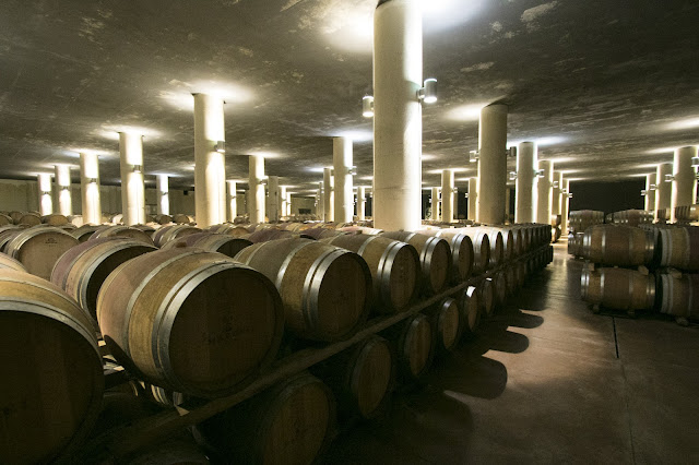 Cantine Marchesi Mazzei-Cantina e barricaia