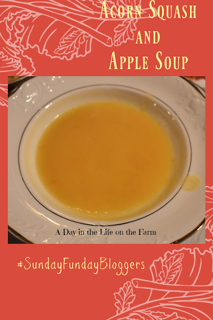 squash and apple soup pin