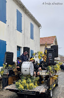 fête mimosa Saint-Trojan-les-Bains (17)