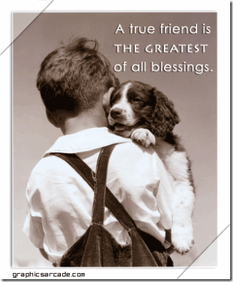pics of friendship quotes. quotes about friends changing