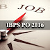 IBPS EXAM