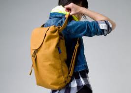 backpacker pemula singapura