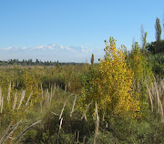 Mendoza City was located in Argentine. The east region of Mendoza is one of .