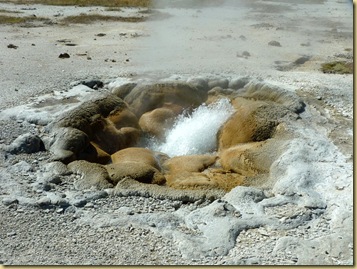 2010-09-03 - MT & WY, Yellowstone National Park -1106