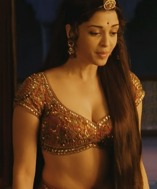 Aishwarya Rai jodha akber navel