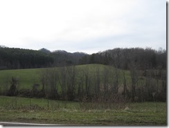 Worley Cove Pasture