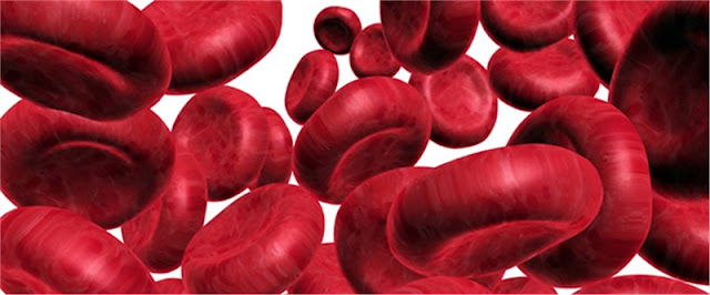 Bleeding Disorders Treatment Market