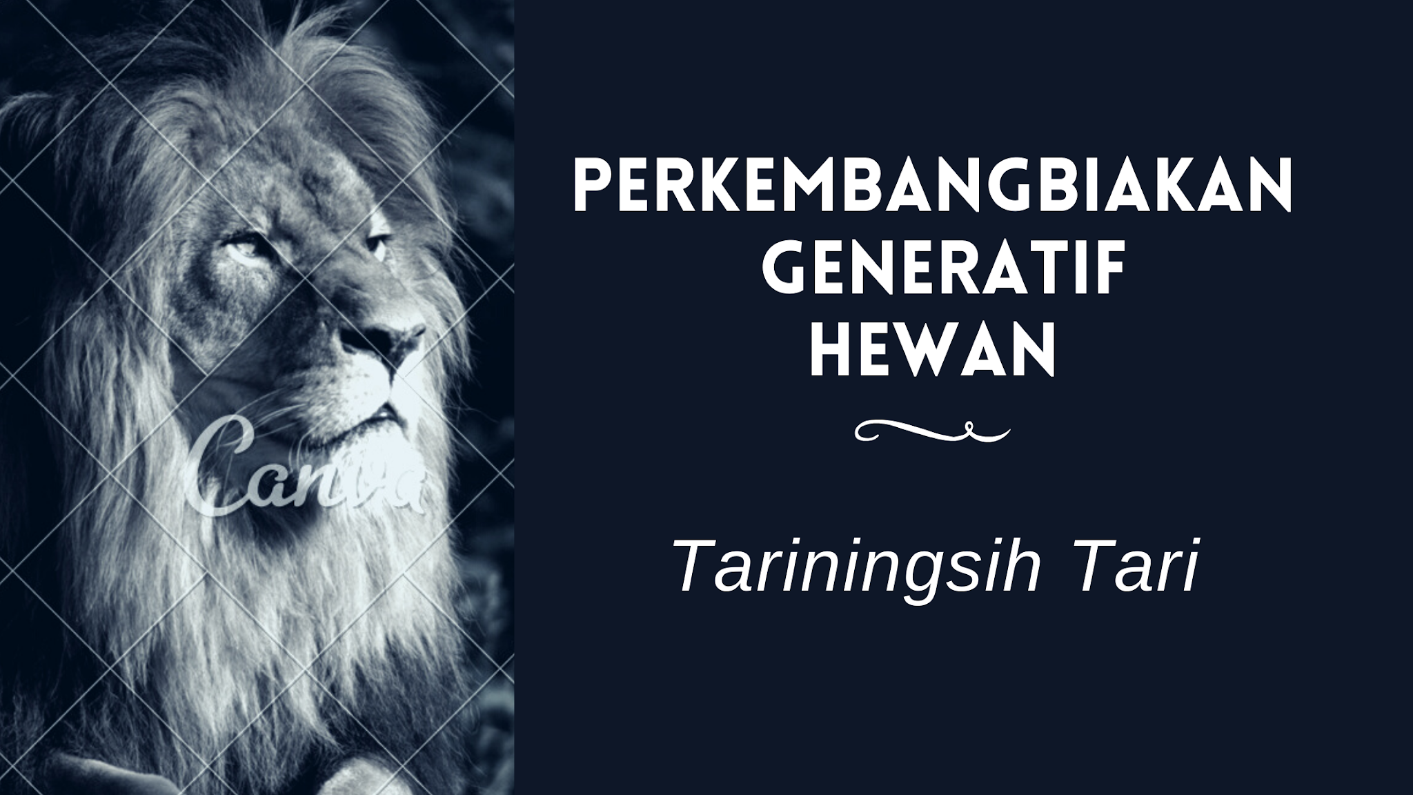  Perkembangbiakan  Generatif Hewan  Cahaya Mentari