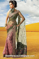 Latest Diwali Sarees Collection