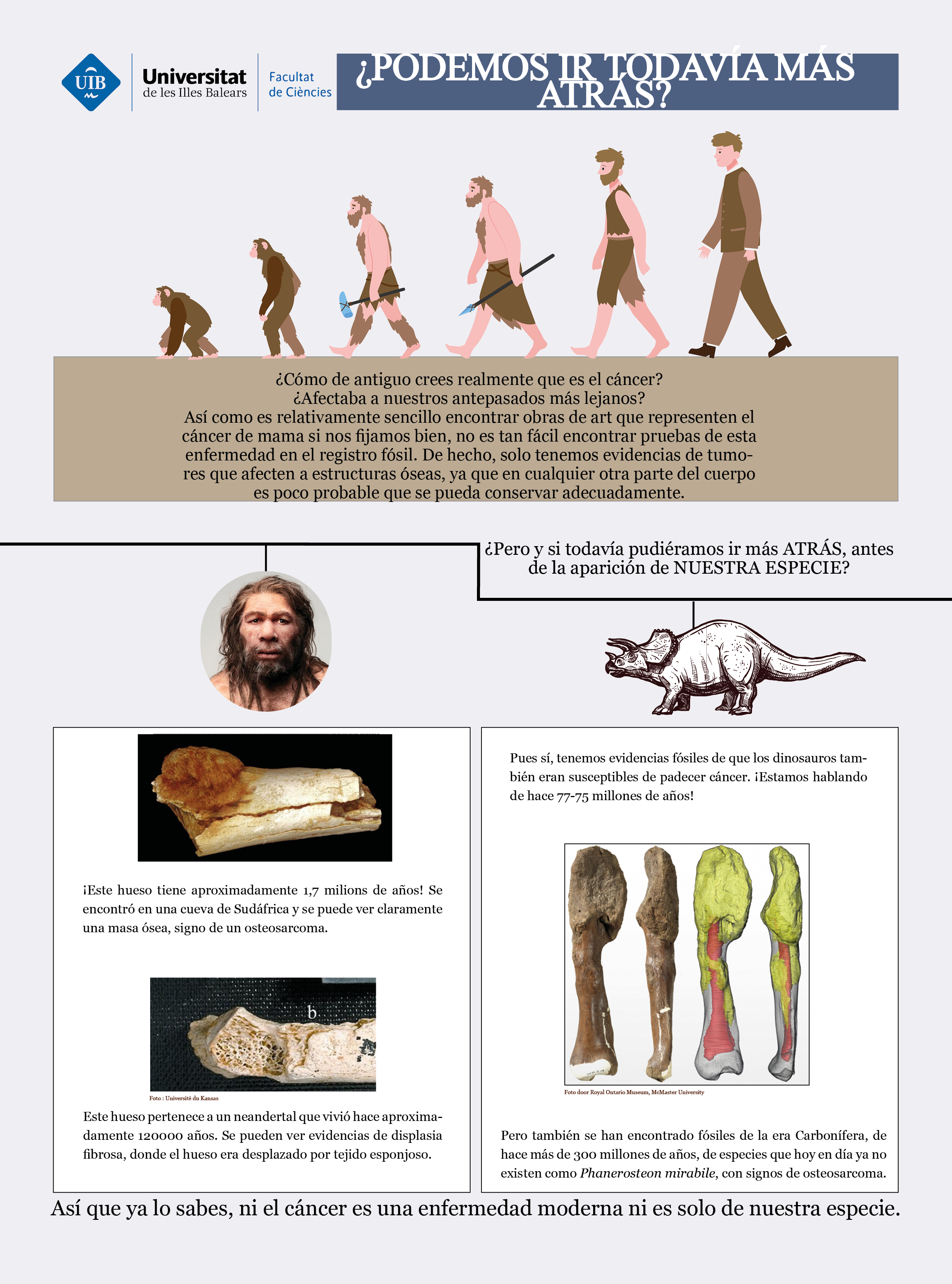 ¿Cómo crees que es la historia del cáncer y nuestra especie? En el registro fósil se han encontrado huesos que presentan signos de esta enfermedad, ¡de hace 1,7 millones de años! Pero si aún vamos más atrás, podemos encontrar fósiles de dinosaurios de hace 77 millones de años, o de especies que no hemos llegado a conocer, de hace 300 millones de años, con signos de cáncer óseo.