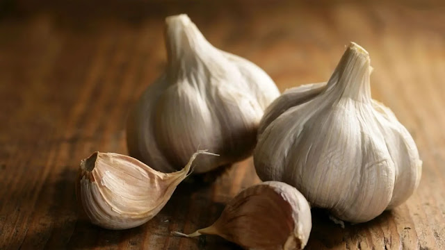 Garlic