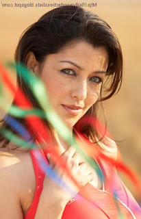 Aditi Gowitrikar, Aditi, Gowitrikar, bollywood, bollywood actress, bollywood actresses image, bollywood photos