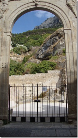 cazorla 046