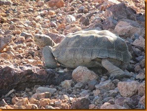IMG_1976