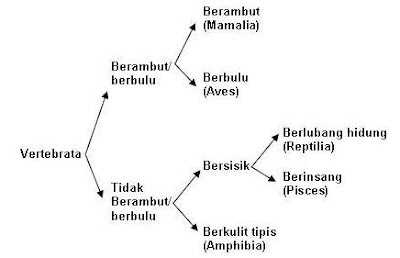 Sistem dan Cara Klasifikasi Makhluk Hidup