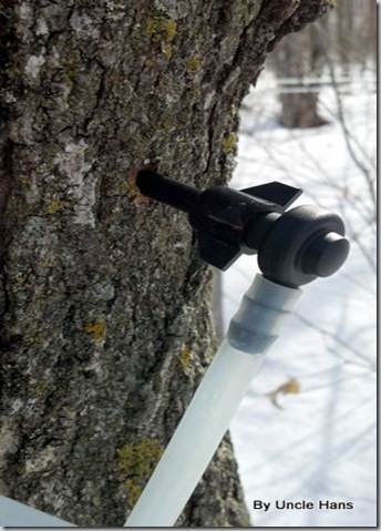 2012-03-10_10-01-00_687