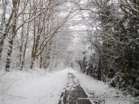 Snowy path at Charnwood Water Loughborough