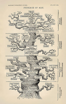 David Attenborough presented the evolutionary "Tree of Life" without actual science involved.