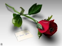 Rose Flower Free Wallpapers Rose Flower Free Wallpapers