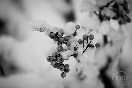 IMG_3248