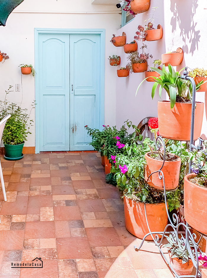 Courtyard with wall of terracotta planters and blue door