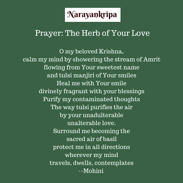 Text Image for Narayankripa Prayer: The Herb of Your Love
