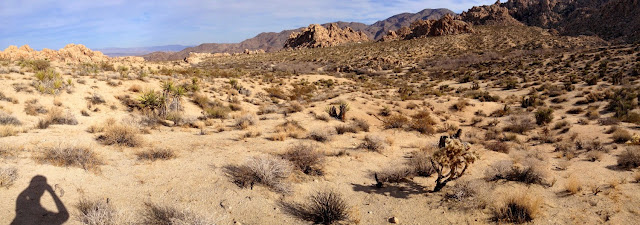 View east toward Indian Cove Nature Trail trailhead, Joshua Tree National Park