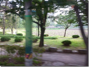 P1000579