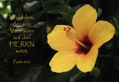 wünsche zum geburtstag mit g