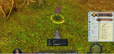 Aion Botting