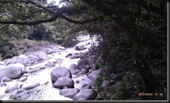 IMAG0037 (Small)
