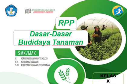 RPP Dasar-Dasar Budidaya Tanaman Kelas 10 SMK Revisi 2017