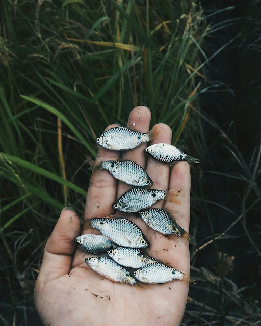 Ankha Millo Arunachal Pradesh photograher insragram 