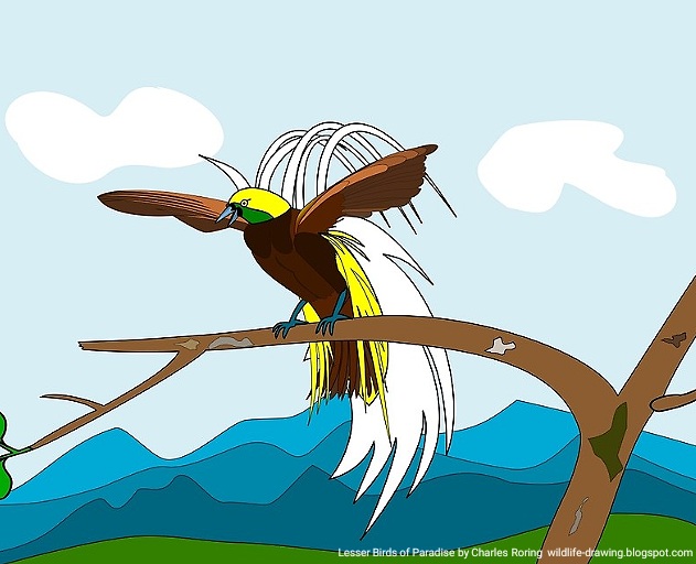 Digital art of Bird of Paradise created by Charles Roring