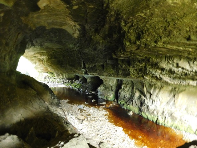 DSCN5618