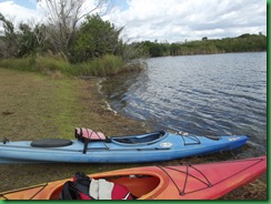 9 mile pond paddle 012