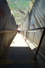 99 Steps