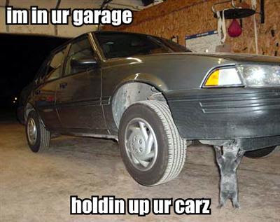 cat holding up car Lolcat Lolcatz Lowlcaz image,