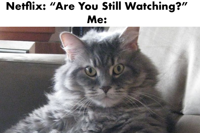 Netflix : Are you still watching me