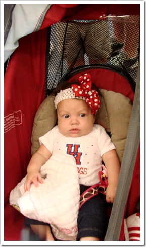 Aug - Oct 2012 055