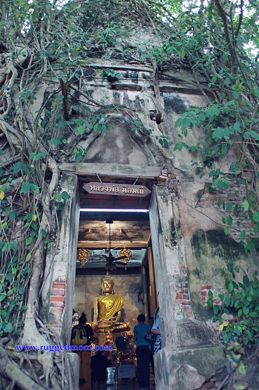 Thailand | Wat Bang Kung Yang Unik Di Amphawa