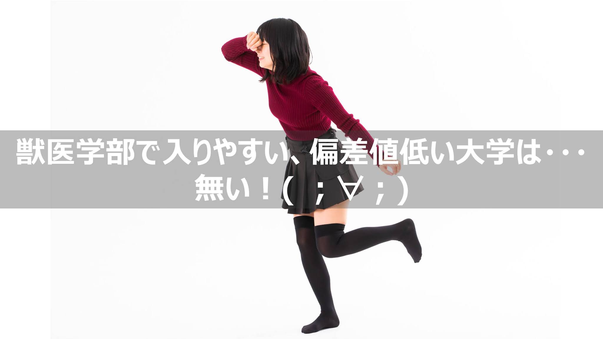 獣医学部で入りやすい 偏差値低い大学はどこ どこも難しい 悲報 リーぱぱのブログ 獣医学部で入りやすい 偏差値低い大学はどこ どこも難しい 悲報 リーぱぱのブログ