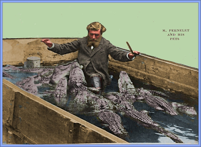 Monsieur Pernelet And His Crocodile Pets