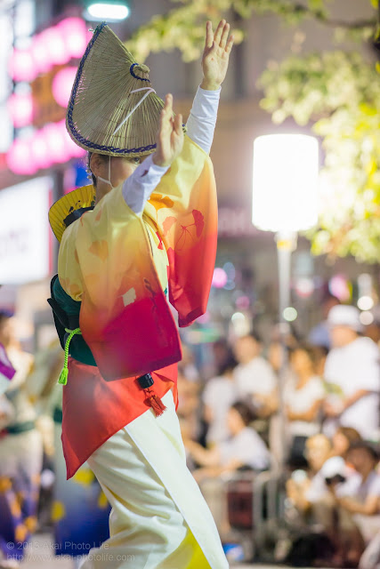 三鷹阿波踊り、八王子千人連の女踊り