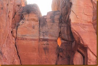 IMG_7156