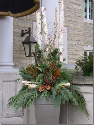 Christmas planter birch magnolia twigs