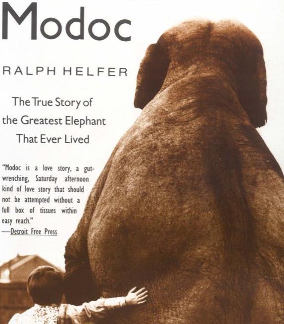 Modoc The True Story Of The Greatest Elephant That Ever