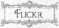 My Flickr
