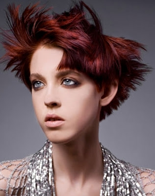 Color Hair unglaubliche 2012-2013