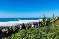 Lineup (Foto: Kody McGregor)